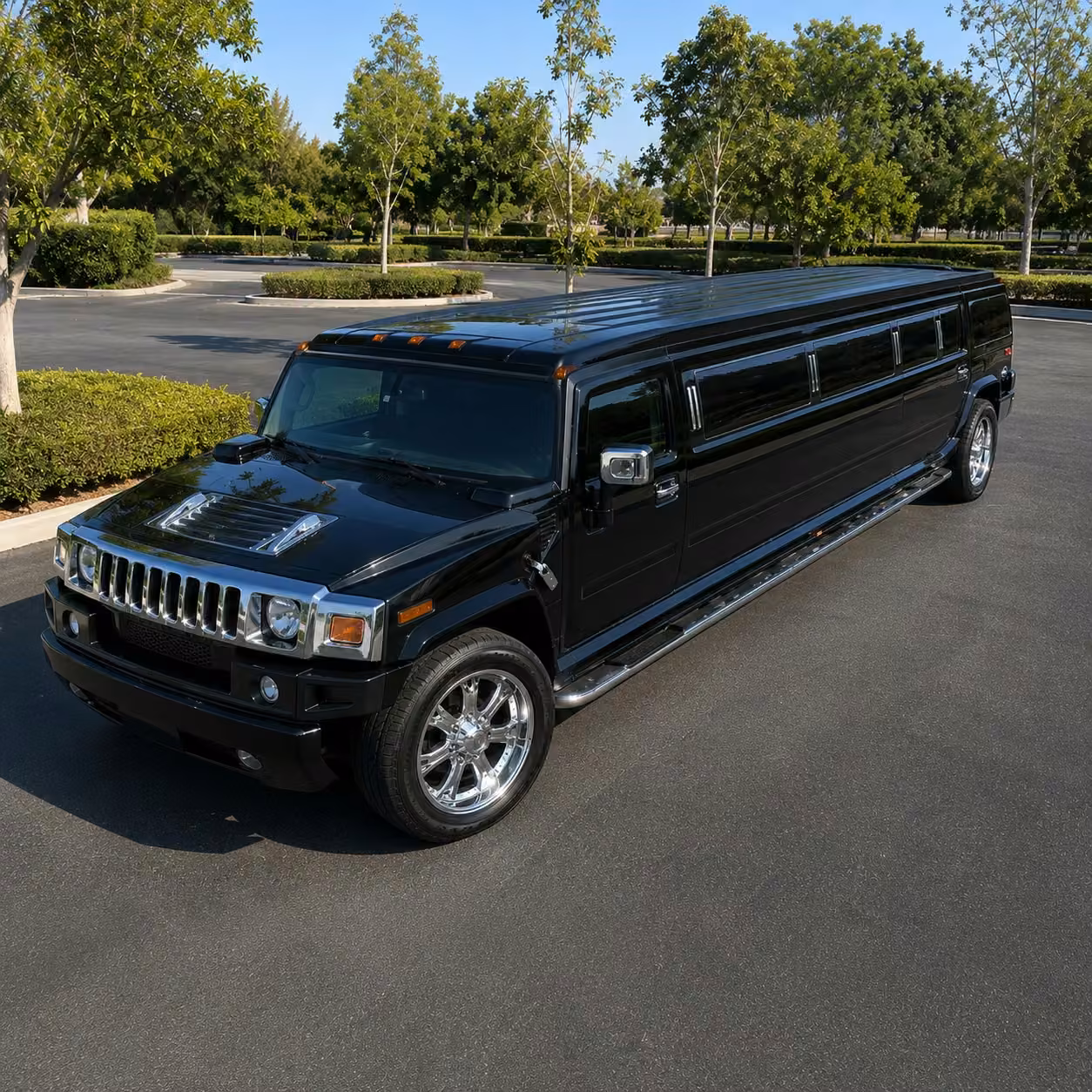 denver limousine exterior